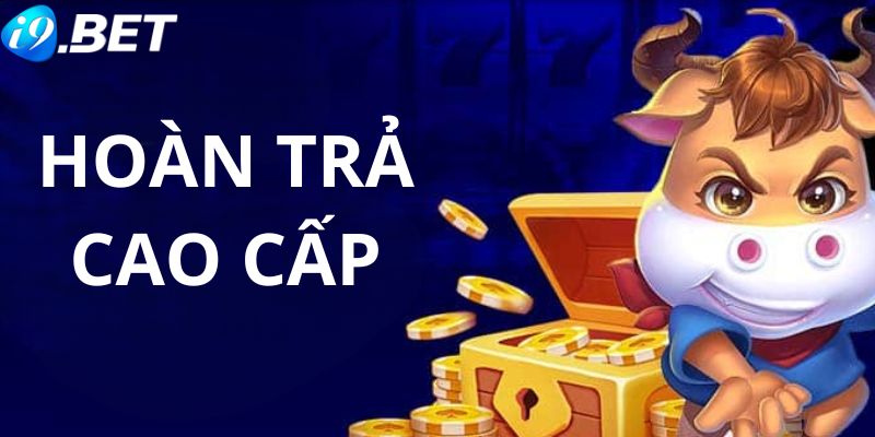 Thành viên vip nhận được tỷ lệ hoàn trả cao hơn so với các bet thủ khác